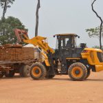 Exportaciones de madera boliviana cerrarían 2026 en su nivel más bajo en más de tres décadas